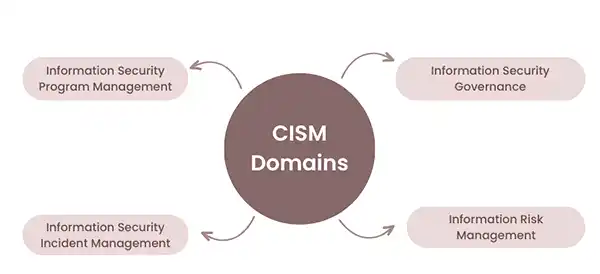 Domains of CISM