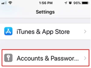 Tap on Accounts & Password.